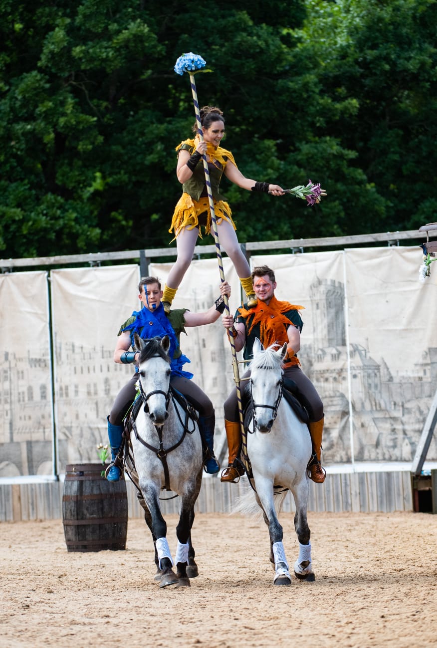 Jousting And Stunt Displays » Shows And Entertainment » Home